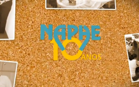 NAPHE 10 ANOS